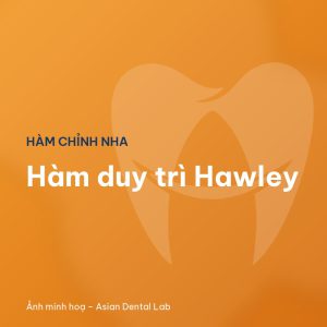 Hàm duy trì Hawley