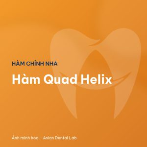 Hàm Quad Helix